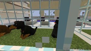 Better Dogs 1.20/1.20.2 Texture Pack Download & Install Tutorial