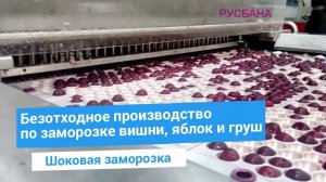 Круглогодичное производство по заморозке яблок, груш и вишни | Удаление сердцевины и кожуры