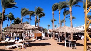 НАПАЛА РЫБА на пляже без рифа / Снорклинг в Iberotel Palace