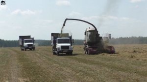 Работа в колхозе. Заготовка сенажа!