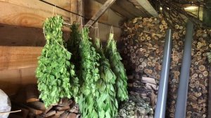 Обрезка мяты в июне. Делаем веники для сауны из мяты. Мой опыт