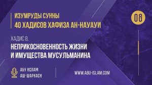 8 Хадис — «Неприкосновенность жизни и имущества мусульманина» — 40 хадисов ан-Науауи.