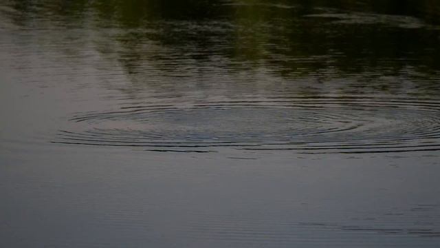 Panasonic LUMIX DC-GX9 4K-видео смотреть онлайн