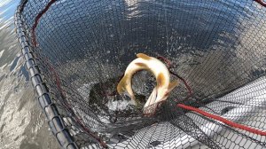 Хороша подруга!