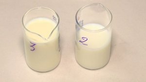 В Белгородской МВЛ проверили качество и безопасность молока