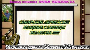 СИБИРСКИЕ АБРИКОСЫ!!! МОЩНЫЕ САЖЕНЦЫ ЖЕЛЕЗОВА !!!!!!!