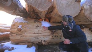 УНИКАЛЬНАЯ БАНЯ, ДОСТУПНАЯ КАЖДОМУ! Баня POST&BEAM из огромных бревен, куда может попасть каждый