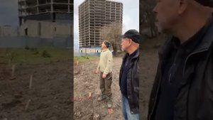 Парк Сохум хорошеет павловниями. Ростов-на-Дону.