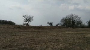 Деревни Байтичи и Горбачи (Жирятинский район, Брянская область)