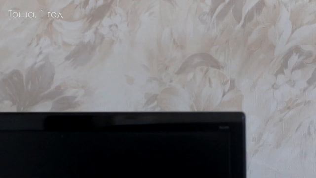 Тоше 1 год  Весёлое пение для попугайчиков