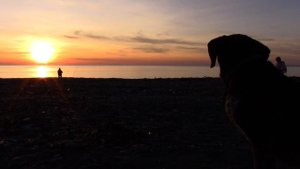 _01_12_2017_ВЕЧЕРНЯЯ ЗАРЯ_СОЧИ_пляж РИВЬЕРА.mp4