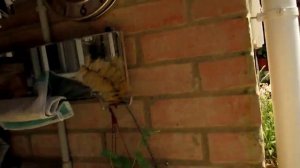 ПАЙКА(СВАРКА)ПОЛИПРОПИЛЕНОВЫХ ТРУБ.РЕЗЕРВНОЕ ВОДОСНАБЖЕНИЕ.ЧТО Я НАПАЯЛ...