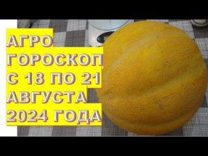 Агрогороскоп с 18 по 21 августа 2024 года Agrohoroscope from August 18 to 21, 2024