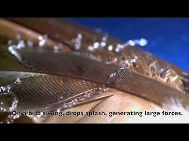 Гидрофобизация water-repellency treatment .wmv