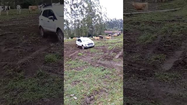 Ford Ecosport 4x4 na lama