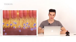 Одна ноздря дышит хуже. Почему меняются доминирующие ноздри несколько раз в день