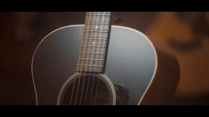 Nyhet! Taylor AD12e-SB