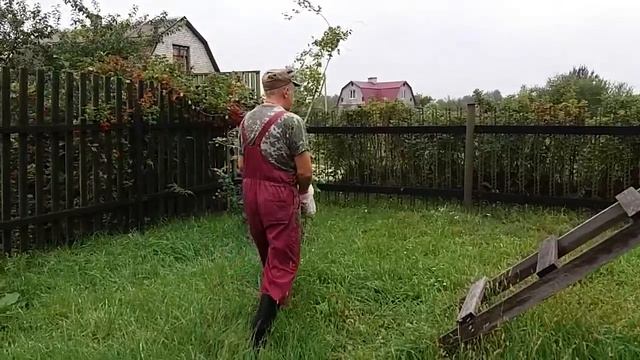 Сажаем грибы на даче Собираем урожай смотреть онлайн