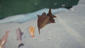 ГАЙД ПО РЫБАЛКЕ, ПРОДВИНУТАЯ РЫБАЛКА В THE LONG DARK