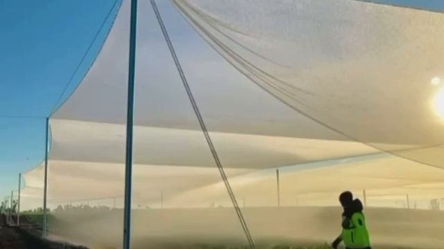 Как роса собираeтся за ночь.