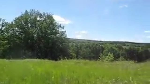 проверка ловушек для ловли бродячих роёв пчёл смотреть онлайн