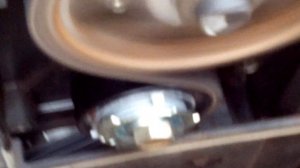 Гул ролика или помпы Гранты