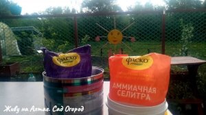 Как уберечь в жару Арбузы растущие на плёнке ● Делюсь секретами /Вопрос - ответ.
