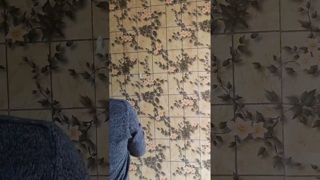 как быстро снять обои??#ремонтквартир #ремонт #neformat смотреть онлайн