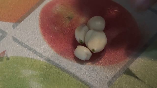 Насадка своими руками для рыбалки.  Перловка с укропом и чесноком. смотреть онлайн