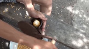 Ручное устройство для чистки кукурузы.