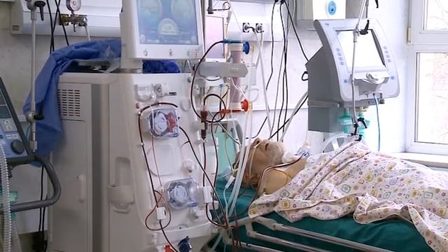 (12+) Всемирный день почки смотреть онлайн