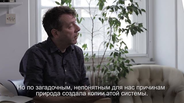 Стандартная модель  Джон Баттерворт  ПостНаука