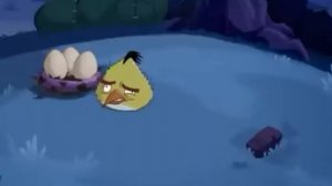 Angry Birds || Thunder Chuck || Angry Birds Toons