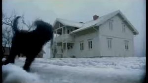 Креативная реклама Audi - Полный привод