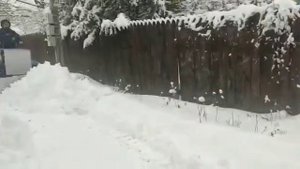 Самодельный гусеничный трактор : чистим сырой снег  ( видео от заказчика Дмитрия )