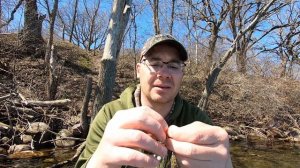 Chatterbait Project Z | Lure Review (Underwater Footage)