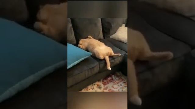 А вы правильно проводите свои выходные???? смотреть онлайн