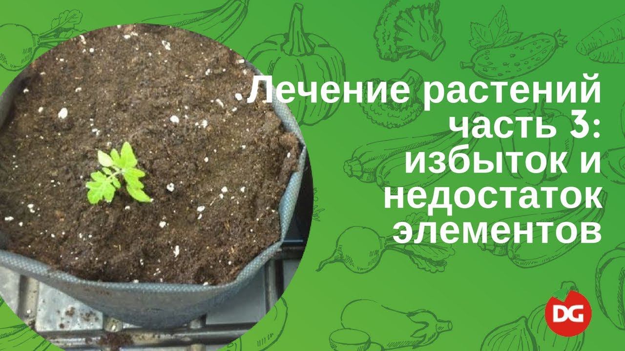 45 Лечение растений. Часть 3: избыток и дефицит элементов