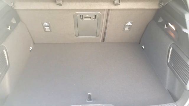 231D - 2023 Ford Focus ST RefId: 354150 смотреть онлайн