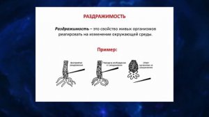 ЕСТЕСТВОЗНАНИЕ 5 КЛАСС СВОЙСТВА ЖИВЫХ ОРГАНИЗМОВ