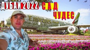 ДУБАЙ 2022. ЗНАМЕНИТЫЙ ПАРК ЦВЕТОВ MIRACLE GARDEN. ГУЛЯЮ ПО ТОРГОВОМУ ЦЕНТРУ MALL OF THE EMIRATES.