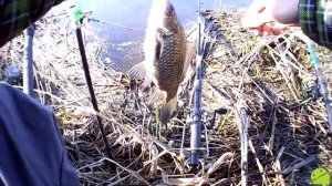 Рыбалка на Искре