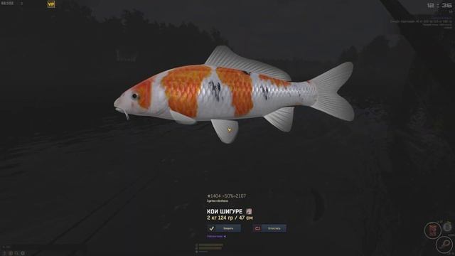 Fisher Online-Компостер-Composter смотреть онлайн