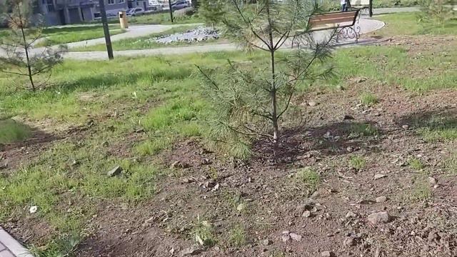 Совгавань, обзорная 26.09.23г.