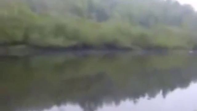 Голавль спиннингом смотреть онлайн