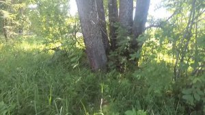 Деревни которых еще нет на ПГМ и которых уже нет на генштабе.