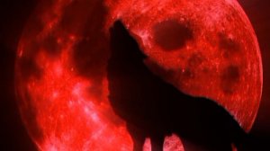 Багровая Луна....❦