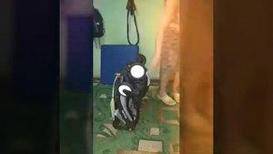 Свит бэби мама Мия