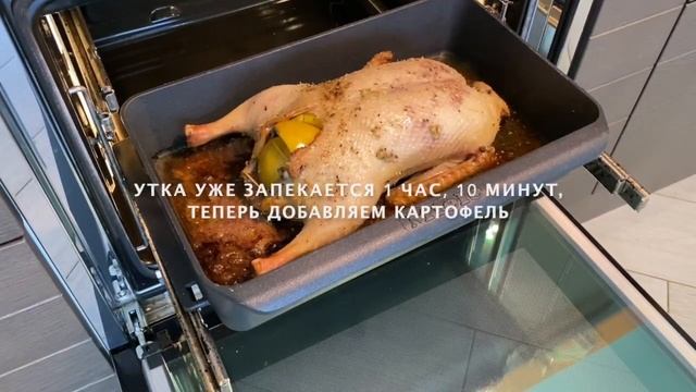 Самый быстрый и простой рецепт утки запеченой в духовке с картошкой и яблоками. смотреть онлайн