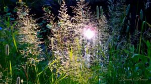 Свиридов. Романс к драме Пушкина "Метель". Sviridov. "Blizzard".